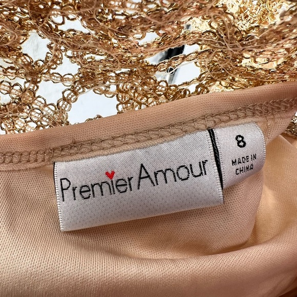 NWT Premier Amour Short Sleeve Sheath Lace Dress - Picture 14 of 14